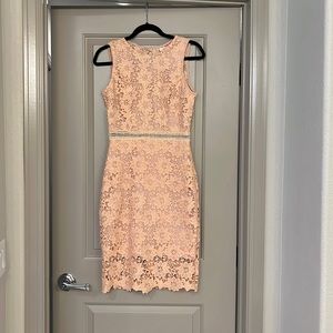 Pink lace bodycon open back cocktail dress